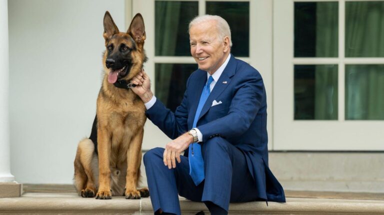 White House Removes President Biden’s Dog Commander Following Multiple Biting Incidents