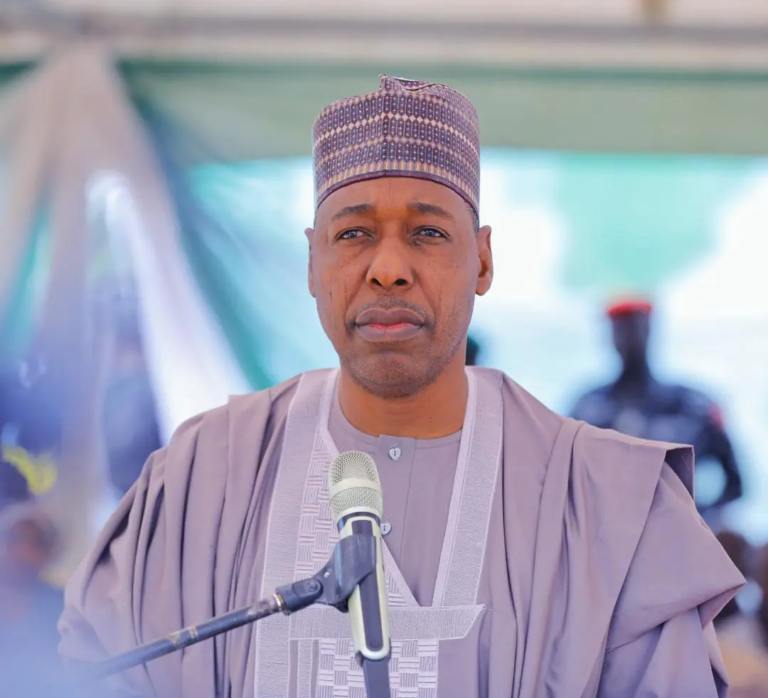 Borno Governor Pushes for Sambisa Forest Revival at UN High-Level Roundtable