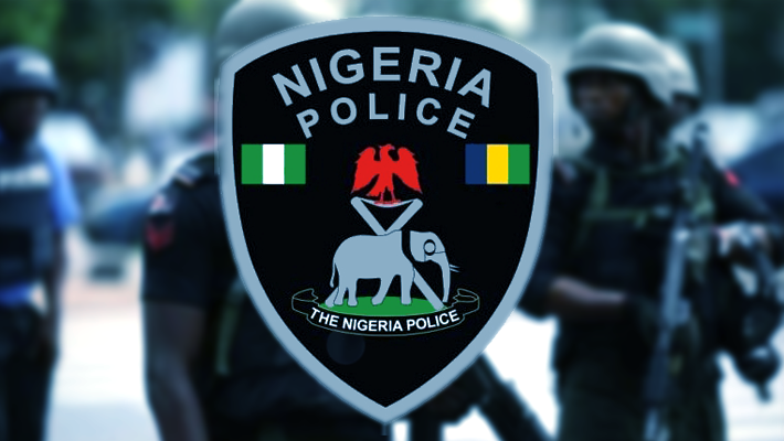 Nigeria Police Force Rejects Recruitment List, Calls for Comprehensive Review