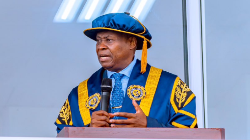 Adedeji Adeleke Shares Challenges of Securing Permit for Nigeria’s Largest $2bn Power Plant