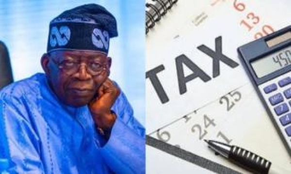 Northern Elders Criticize Tinubu Administration Over Tax Reform Plans