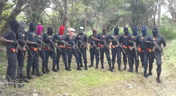 IPoB Vows to Collaborate with Security Outfits to Expel ISWAP and Criminal Herdsmen from Igboland
