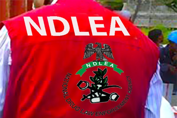 NDLEA Dismantles N480bn Meth Network as US Raises Alarm Over Terror-Drug Cartel Alliance