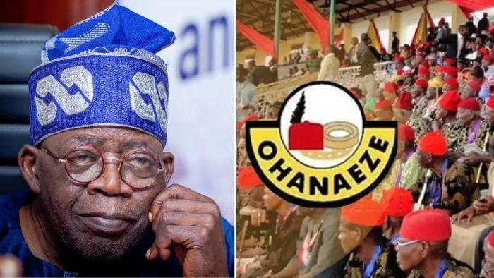 Ohanaeze Ndigbo Criticizes Customs Boss Tenure Extension, Cites Threat to Regional Equity