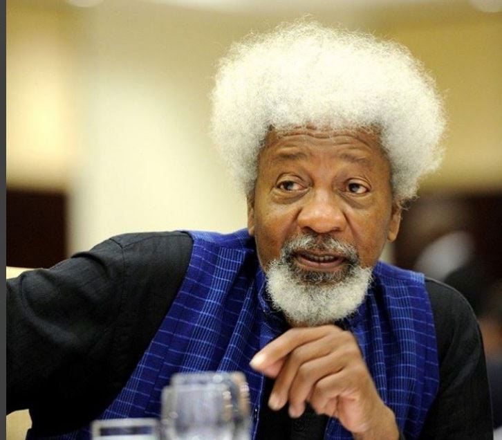 Soyinka Explains Why He Rejected U.S. Embassy’s September 11 Visa Re-Interview, Calls Revocation “Humorous”