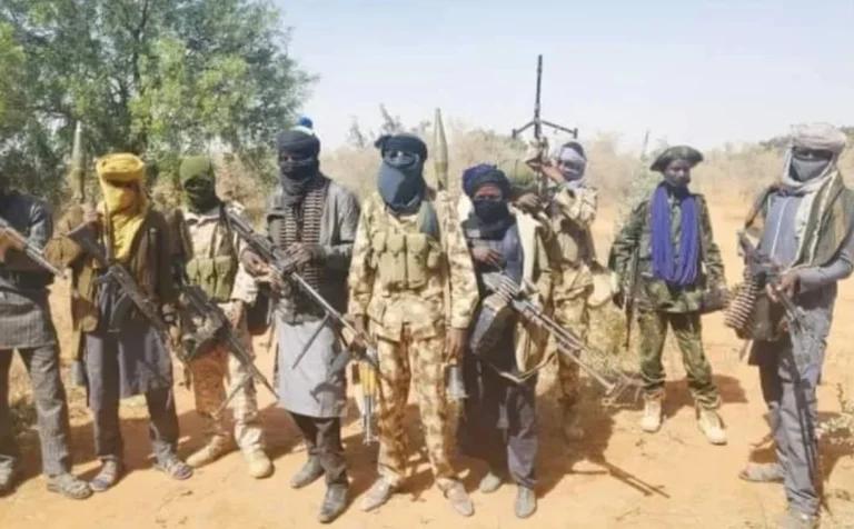 Borgu Residents Flee as Bandits Kill, Burn Homes in Fresh Attacks