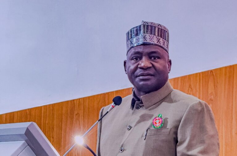 No Innocent Victims in Borno Airstrike, Defence Minister Insists