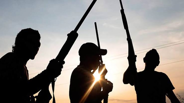 Fresh Attack Rocks Kano as Gunmen Kidnap Rogo APC Chairman, Kill Two